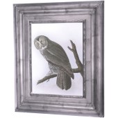 Owl Canvas - Ornate Frame Effect